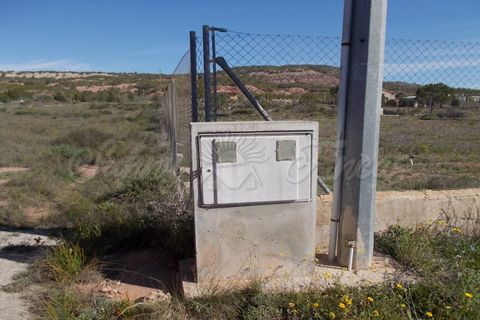 Finca i Yecla, Murcia, Yecla - € 49.000 | Ref: SF0059 - foto 14