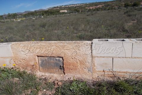 Finca i Yecla, Murcia, Yecla - € 49.000 | Ref: SF0059 - foto 13