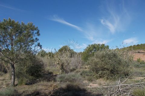 Finca i Yecla, Murcia, Yecla - € 49.000 | Ref: SF0059 - foto 7