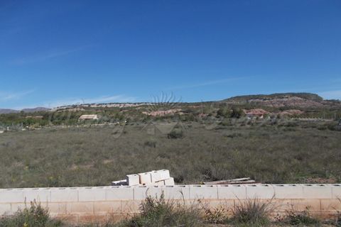 Finca i Yecla, Murcia, Yecla - € 49.000 | Ref: SF0059 - foto 6
