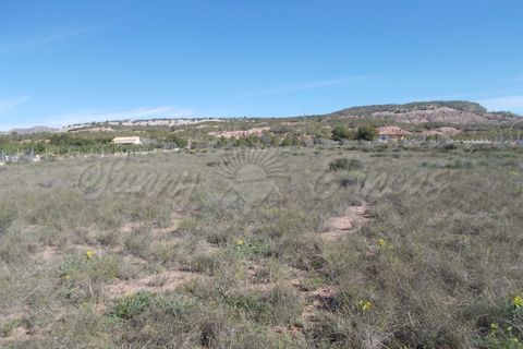 Finca i Yecla, Murcia, Yecla - € 49.000 | Ref: SF0059 - foto 11