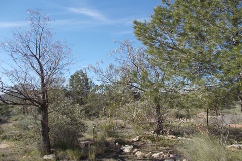 Finca i Yecla, Murcia, Yecla - € 49.000 | Ref: SF0059 - foto 12