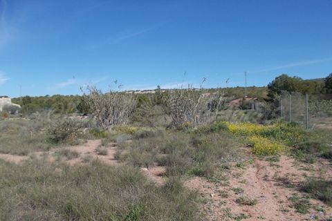Finca i Yecla, Murcia, Yecla - € 49.000 | Ref: SF0059 - foto 5