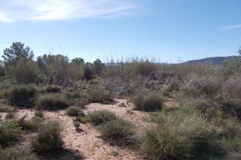 Finca i Yecla, Murcia, Yecla - € 49.000 | Ref: SF0059 - foto 10