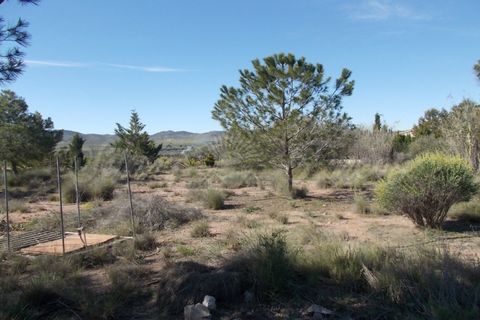 Finca i Yecla, Murcia, Yecla - € 49.000 | Ref: SF0059 - foto 9