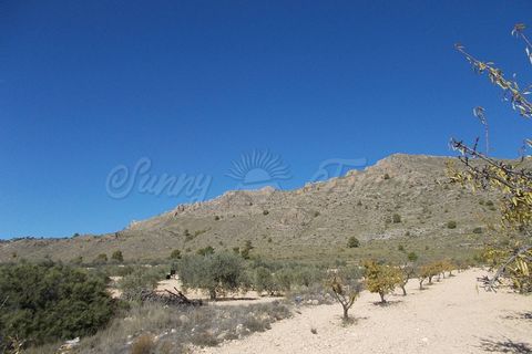 Finca i Yecla, Murcia, Yecla - € 139.000 | Ref: SF0130 - foto 15