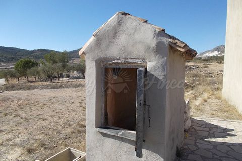 Finca i Yecla, Murcia, Yecla - € 139.000 | Ref: SF0130 - foto 11