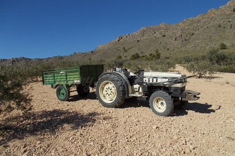 Finca i Yecla, Murcia, Yecla - € 139.000 | Ref: SF0130 - foto 28
