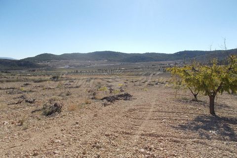 Finca i Yecla, Murcia, Yecla - € 139.000 | Ref: SF0130 - foto 19