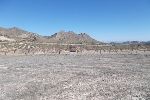 Finca i Yecla, Murcia, Yecla - € 139.000 | Ref: SF0130 - foto 17