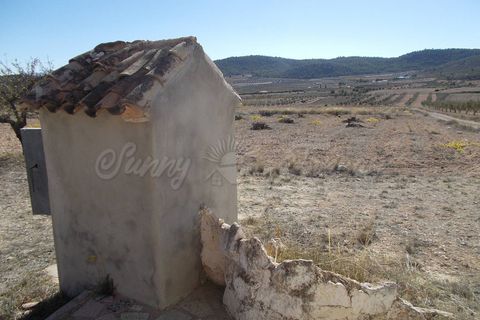 Finca i Yecla, Murcia, Yecla - € 139.000 | Ref: SF0130 - foto 8