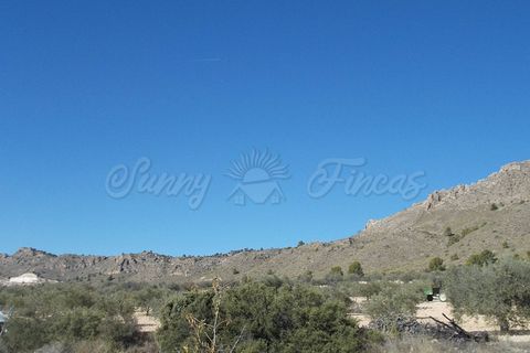 Finca i Yecla, Murcia, Yecla - € 139.000 | Ref: SF0130 - foto 12