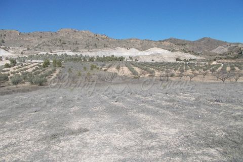 Finca i Yecla, Murcia, Yecla - € 139.000 | Ref: SF0130 - foto 20