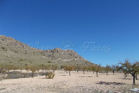 Finca i Yecla, Murcia, Yecla - € 139.000 | Ref: SF0130 - foto 10