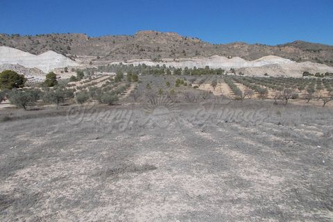 Finca i Yecla, Murcia, Yecla - € 139.000 | Ref: SF0130 - foto 18