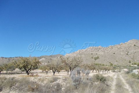 Finca i Yecla, Murcia, Yecla - € 139.000 | Ref: SF0130 - foto 21