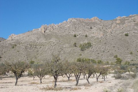 Finca i Yecla, Murcia, Yecla - € 139.000 | Ref: SF0130 - foto 27