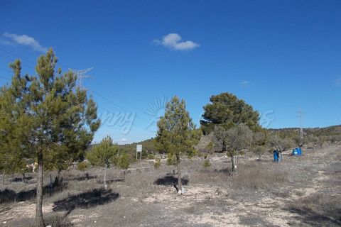Finca i Biar, Alicante, Biar - € 99.000 | Ref: SF0133 - foto 8
