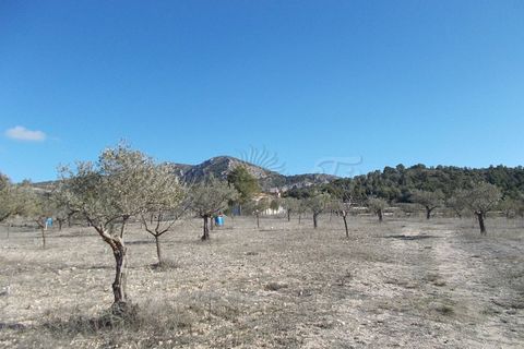 Finca i Biar, Alicante, Biar - € 99.000 | Ref: SF0133 - foto 13