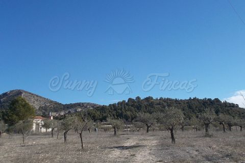 Finca i Biar, Alicante, Biar - € 99.000 | Ref: SF0133 - foto 3