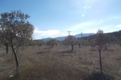 Finca i Biar, Alicante, Biar - € 99.000 | Ref: SF0133 - foto 14