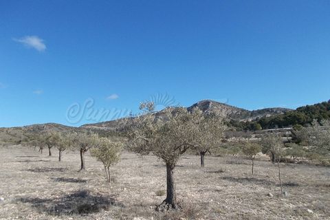 Finca i Biar, Alicante, Biar - € 99.000 | Ref: SF0133 - foto 9