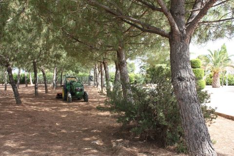 Villa i Yecla, Murcia, Yecla - € 600.000 | Ref: SF0151 - foto 41