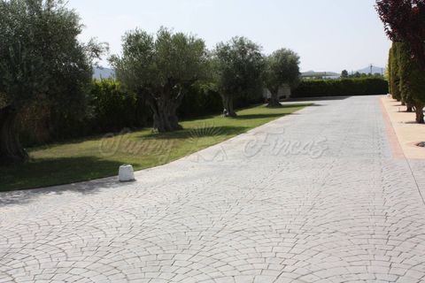 Villa i Yecla, Murcia, Yecla - € 600.000 | Ref: SF0151 - foto 36