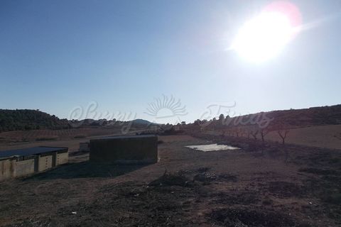 Farm hus i Yecla, Murcia, Yecla - € 69.900 | Ref: SF0153 - foto 27