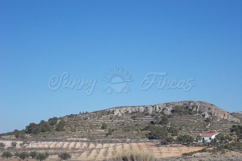 Farm hus i Yecla, Murcia, Yecla - € 69.900 | Ref: SF0153 - foto 28