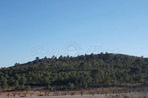 Farm hus i Yecla, Murcia, Yecla - € 69.900 | Ref: SF0153 - foto 31
