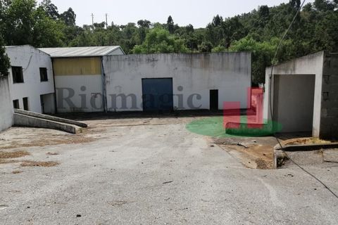 Erhvervsejendom i Abrantes, Santarem, Abrantes - € 180.000 | Ref: 52.21 - foto 11