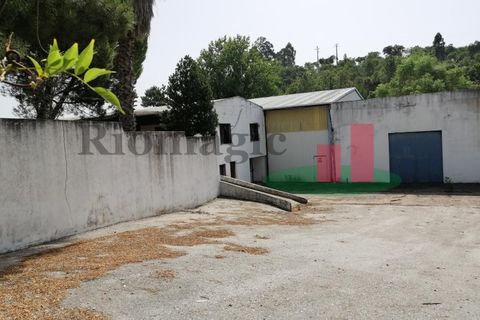 Erhvervsejendom i Abrantes, Santarem, Abrantes - € 180.000 | Ref: 52.21 - foto 12