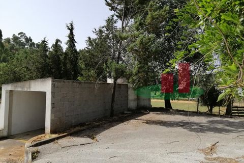 Erhvervsejendom i Abrantes, Santarem, Abrantes - € 180.000 | Ref: 52.21 - foto 13
