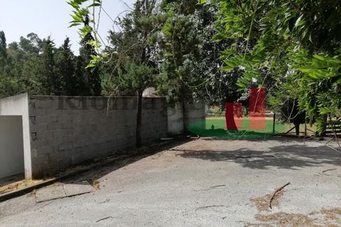 Erhvervsejendom i Abrantes, Santarem, Abrantes - € 180.000 | Ref: 52.21 - foto 14