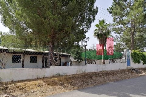Erhvervsejendom i Abrantes, Santarem, Abrantes - € 180.000 | Ref: 52.21 - foto 17