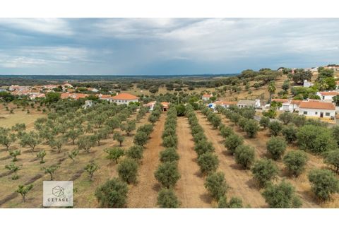 Farm hus i Avis, Portalegre, Avis - € 310.000 | Ref: Citage 138/23 - foto 1
