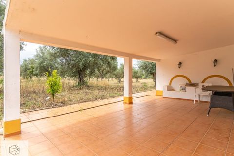 Farm hus i Avis, Portalegre, Avis - € 310.000 | Ref: Citage 138/23 - foto 15
