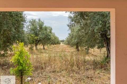 Farm hus i Avis, Portalegre, Avis - € 310.000 | Ref: Citage 138/23 - foto 17