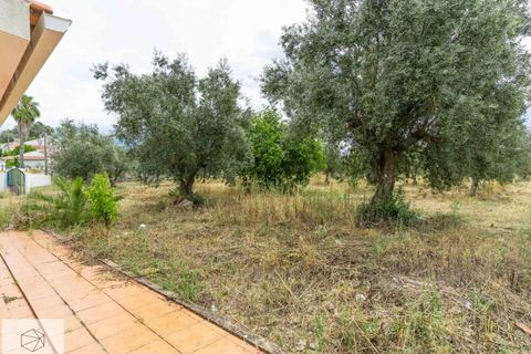 Farm hus i Avis, Portalegre, Avis - € 310.000 | Ref: Citage 138/23 - foto 20