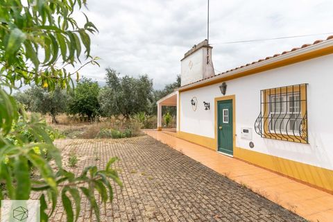 Farm hus i Avis, Portalegre, Avis - € 310.000 | Ref: Citage 138/23 - foto 22