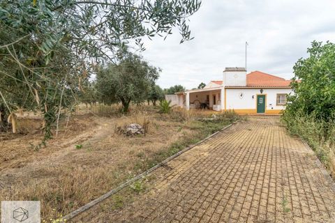 Farm hus i Avis, Portalegre, Avis - € 310.000 | Ref: Citage 138/23 - foto 23