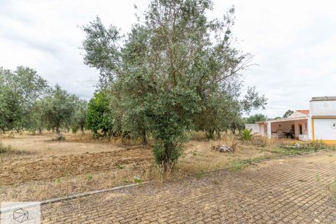 Farm hus i Avis, Portalegre, Avis - € 310.000 | Ref: Citage 138/23 - foto 26