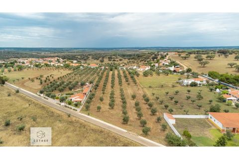 Farm hus i Avis, Portalegre, Avis - € 310.000 | Ref: Citage 138/23 - foto 28