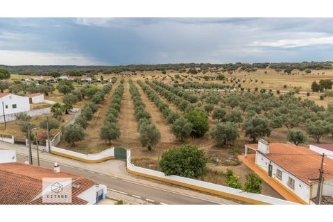 Farm hus i Avis, Portalegre, Avis - € 310.000 | Ref: Citage 138/23 - foto 29