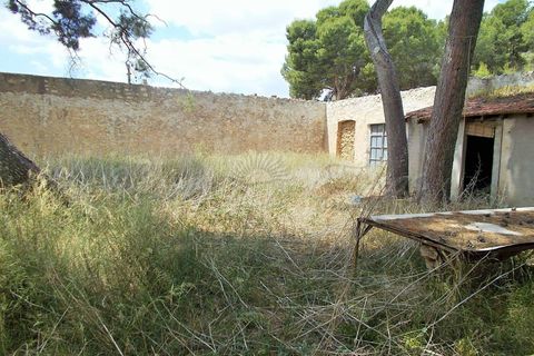 Byhus i La Romana, Alicante, La Romana - € 139.900 | Ref: SF0234 - foto 22