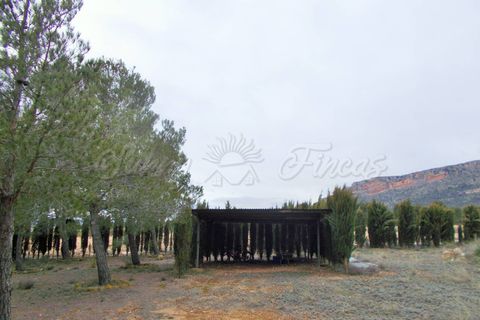 Landejendom i Ayora, Valencia, Ayora - € 124.900 | Ref: SF0243 - foto 15