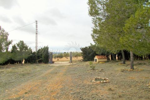 Landejendom i Ayora, Valencia, Ayora - € 124.900 | Ref: SF0243 - foto 17