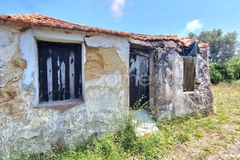 Villa a Tavarede, Coimbra, Tavarede - € 120.000 | Ref: ZMPT558958 - foto 8