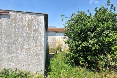 Villa a Tavarede, Coimbra, Tavarede - € 120.000 | Ref: ZMPT558958 - foto 11